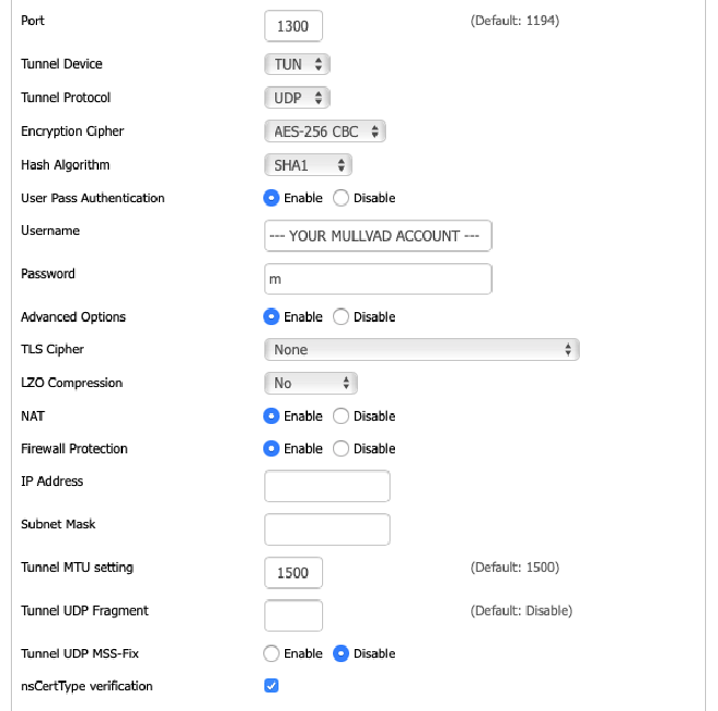 DD-WRT OpenVPN Client